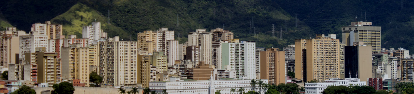 banner venezuela